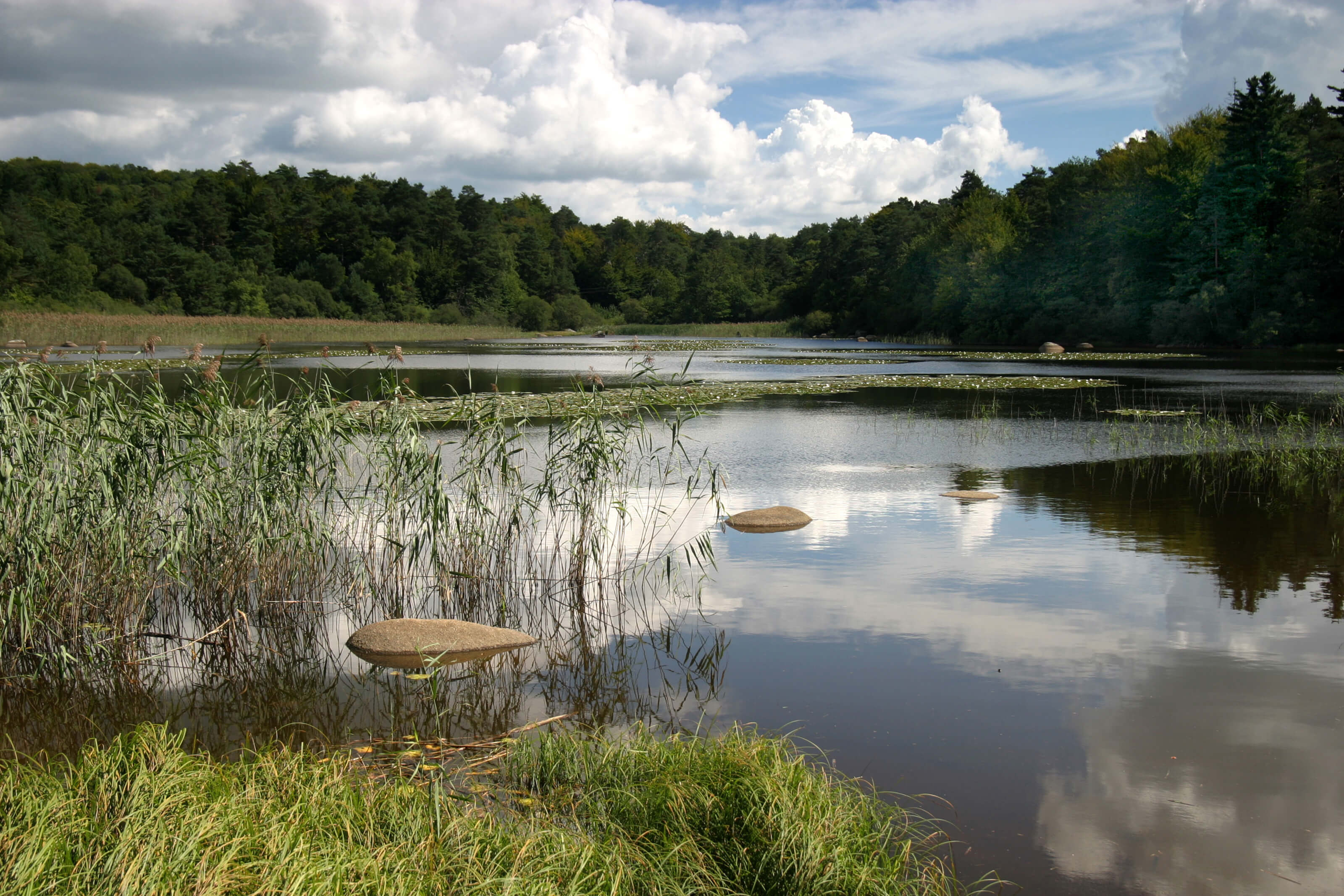 Paysage Tarn